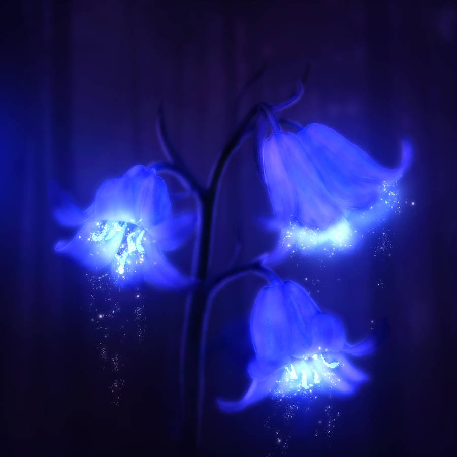 Синий ночной цветок