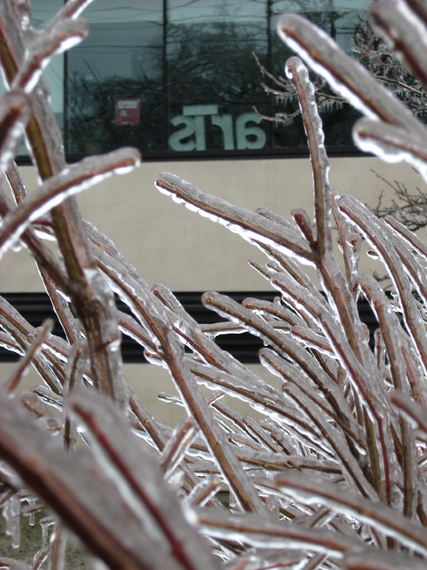 [image]